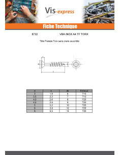 VBA Vis bois agglo Tête fraisée 4X40 Filetée sur 25 TORX... 2