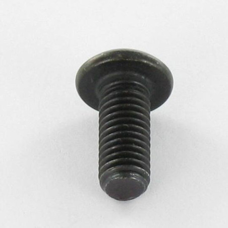 1 x Vis métaux BHC (Tête Bombée Hexagonal creux) M6X55 Filetage total Classe 10.9 Clé de 4 HC4 Acier brut