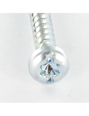 1 x Vis pvc Tête cylindrique TC TORX T25 /FEND...