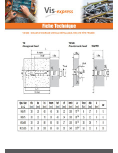Goujon Ancrage Cheville METAL 10X70 Vis M6X75 Acier zingué 2