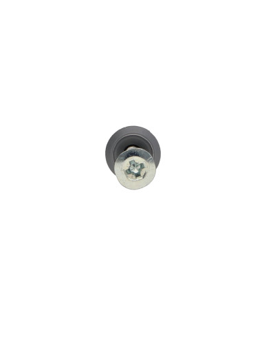 1 x Cheville Clou Vis RAWLPLUG Tête plate Large...