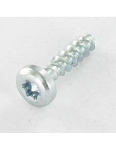 VBA Vis bois agglo Tête ronde TR TORX T20 4X20 Sans...