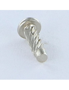 Rivet SIM ou fausse vis à frapper Type U Tête ronde TR... 2