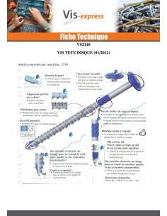 VBA Vis bois agglo Tête disque TORX T40 10X220 Acier zingué 2