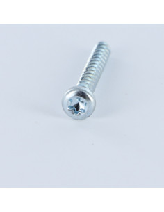 Vis pvc Tête cylindrique TC TORX T20 4X12 Acier zingué 2