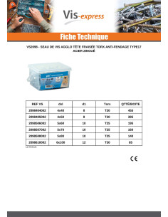 Seau de 455 Vis bois agglo 4X40 Tête fraisée TORX T20... 2