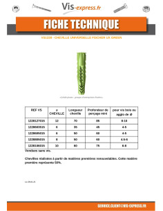 Cheville Fischer UX GREEN 12X70 2