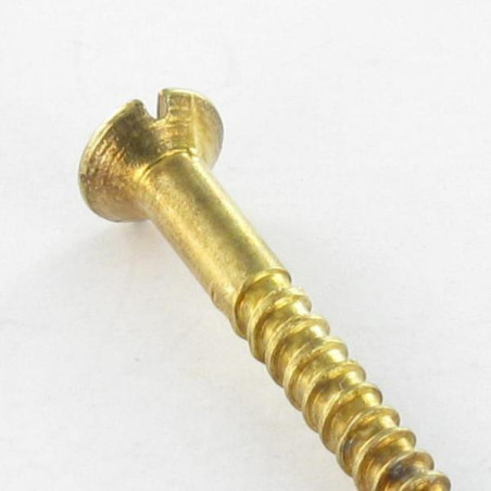 1 x Vis bois Tête fraisée Fendue 2.5X10 Acier laitonne microvis
