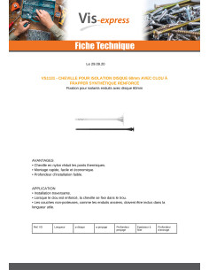 Cheville d'isolation 10X200 et Clou SYNTHETIQ 2