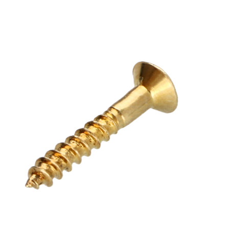 1 x Vis bois Tête fraisée Pozi N°1 2.5X16 Acier laitonne microvis