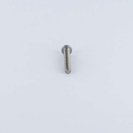 1 x Vis métaux tête cylindrique bombée large Fendue M2.5X10 Acier brut microvis