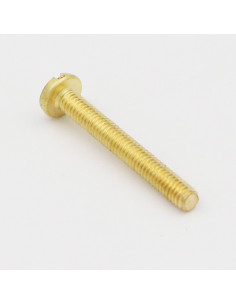 Vis métaux Laiton Tête cylindrique large TCL Fendue M2X4... 2