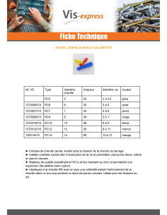 Cheville à collerette RAM RC 14X69 ORANGE 2