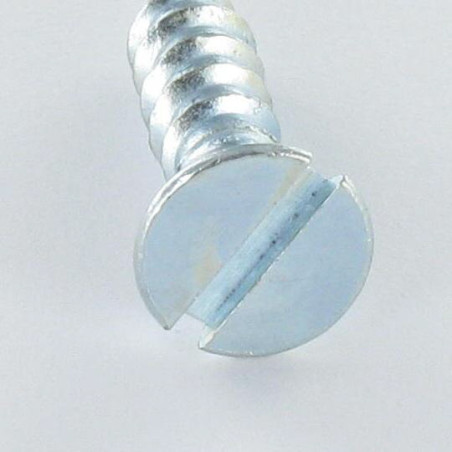1 x Vis bois Tête fraisée Fendue 6X35 Acier zingué