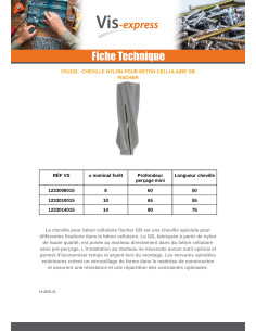 Cheville Béton CELLULAIRE Fischer GB10 2