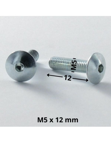 1 x Vis Poelier M5X12 Clé de 3 HC3 Acier zingué