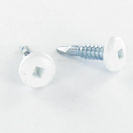 1 x Vis autoperceuse Tête cylindrique TC EMPR Carré 4.2X19 Acier zingué RAL9010 blanc pur
