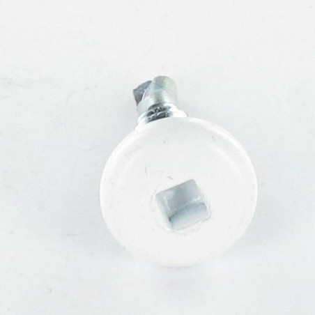 1 x Vis autoperceuse Tête cylindrique TC EMPR Carré 4.2X19 Acier zingué RAL9010 blanc pur