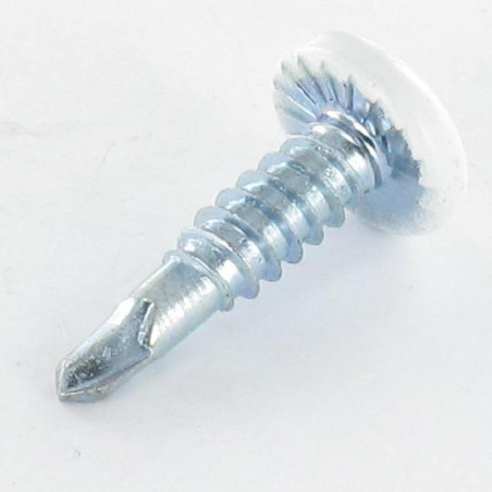 1 x Vis autoperceuse Tête cylindrique TC EMPR Carré 4.2X19 Acier zingué RAL9010 blanc pur