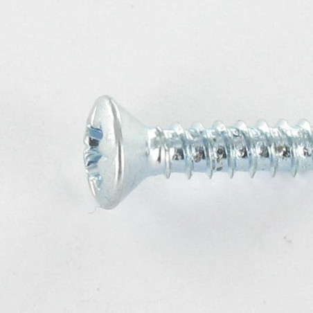 1 x Vis tôle Tête fraisée bombée TFB Pozi 4.2X50 Acier zingué