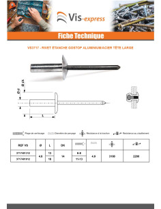 Rivet Etanche GOSTOP Aluminium Tige acier Tête large 4.8X13 2