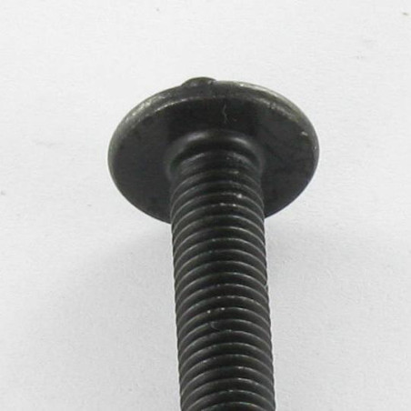 1 x Vis Poelier POZI et fendu M6X38 Acier brut