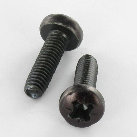 1 x Vis autotaraudeuse tête cylindrique bombée large M3X10 Pozi N°1 Acier zingué noir microvis