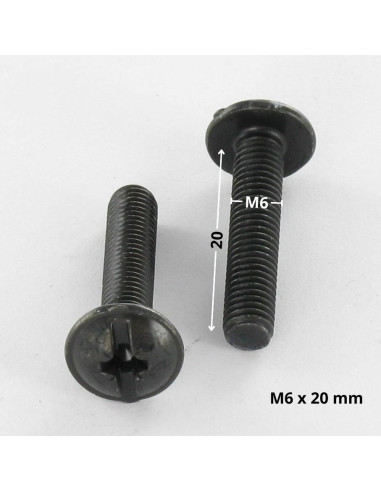 1 x Vis Poelier POZI et fendu M6X20 Acier...