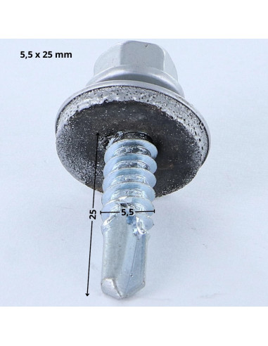 1 x Vis autoperceuse Tête hexagonale TH 5.5X25...