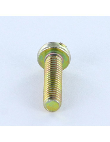 1 x Vis métaux Tête cylindrique bombée TCB POZI...