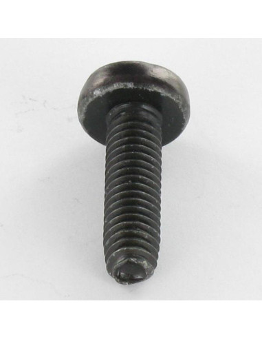 1 x Vis autotaraudeuse tête cylindrique bombée...