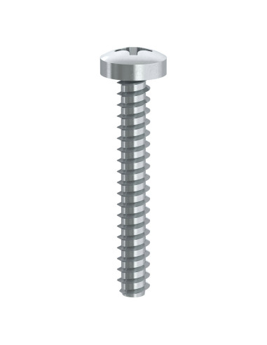 1 x Vis tôle Tête cylindrique TC Phillips n° 1...