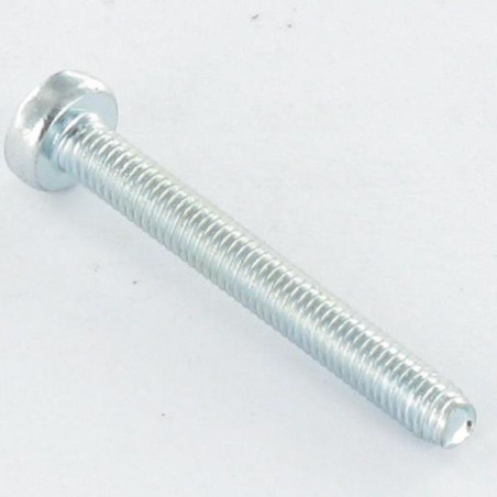 1 x Vis autotaraudeuse tête cylindrique bombée large M2.5X14 Pozi N°1 Acier zingué microvis