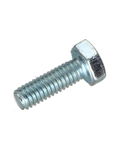 1 x Vis métaux Tête hexagonale TH M6X12 Classe...