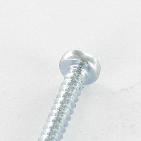 1 x Vis tôle tête cylindrique bombée large Pozi 2.2X4.5 Acier zingué