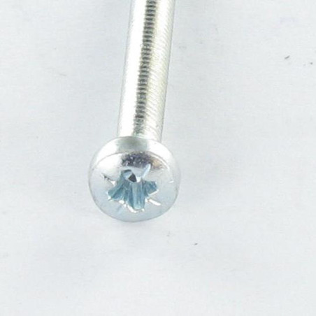 1 x Vis autotaraudeuse tête cylindrique bombée large M6X25 Pozi N°3 Acier zingué