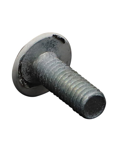 1 x Vis Poelier Pozi M6X16 Acier zingué RAL9010...