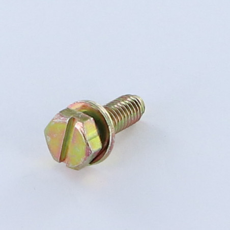 1 x Vis métaux Tête hexagonal fendue M6X18 Avec Rondelle Bichromaté