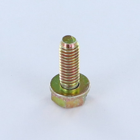 1 x Vis métaux Tête hexagonal fendue M6X18 Avec Rondelle Bichromaté