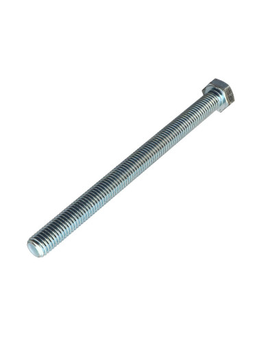 1 x Vis métaux Tête hexagonale TH M12X140...