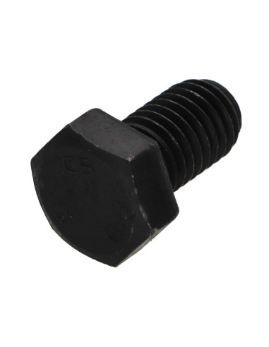 1 x Vis métaux Tête hexagonale TH M12X25 Classe...