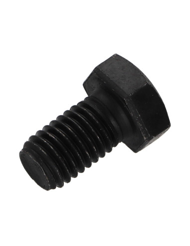 1 x Vis métaux Tête hexagonale TH M12X25 Classe...