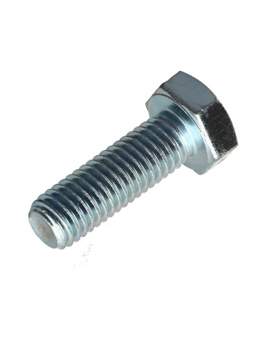 1 x Vis métaux Tête hexagonale TH M10X35 Classe...