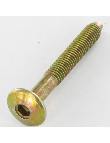 1 x Vis Poelier Hexagonale creuse M6X47 Filetée...