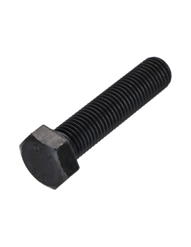 1 x Vis métaux Tête hexagonale TH M16X80 Classe...