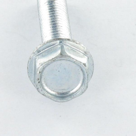 1 x Vis autotaraudeuse Tête hexagonale TH Embase collerette Lisse M3X10 Acier zingué microvis