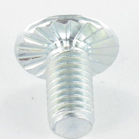 1 x Vis Poelier POZI et fendu M6X15 Cranté Acier zingué