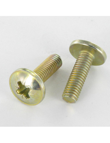 1 x Vis Poelier Pozi M6X24 Diamètre de tête:...