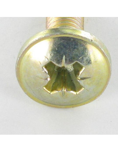 1 x Vis Poelier Pozi M6X24 Diamètre de tête:...