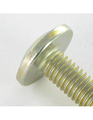 1 x Vis Poelier Pozi M6X24 Diamètre de tête:...